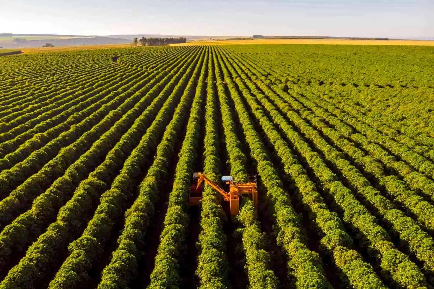 Propriedade Rural - Holding Rural